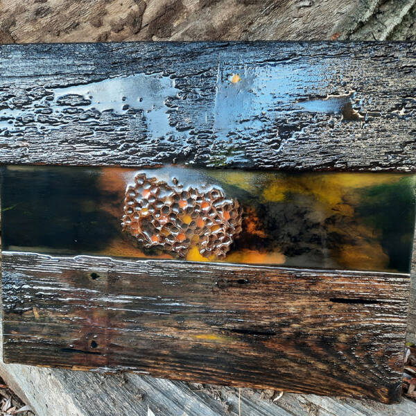 Wandbild Honigwabe – Bild 2