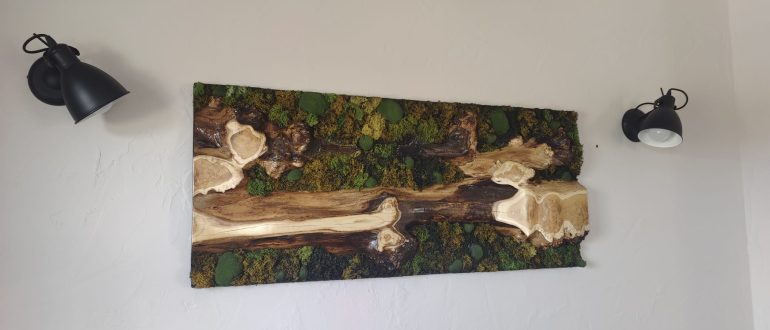 Wand.- bzw. Moosbild